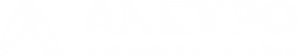 ANEXPO LOgo white